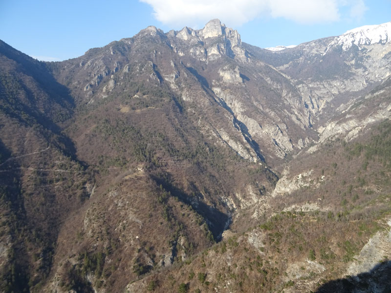 Rupicapra rupicapra.....dal Trentino Alto Adige